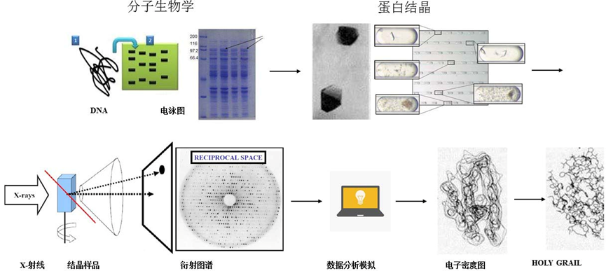 X射线衍射晶体学概览